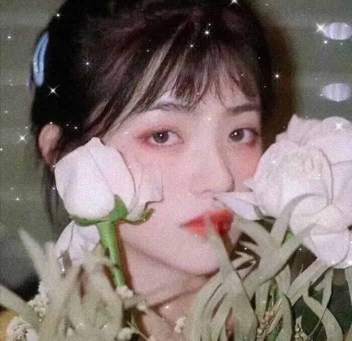 茉莉花开